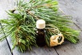 Pine essential oil and pine branches with green cones