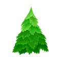 Pine or Fir Tree with Needle Leaves as Forest Element Vector Illustration Royalty Free Stock Photo