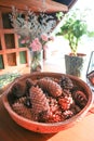 pine flower or dried pine flower and caspia , carnation flowers in a vase