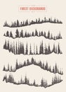 Pine forest background vector drawn sketch