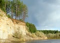 Pine Forest on a cliff near the river Bank with the erosion of clay soil and layers of land under the roots of trees in the wild t Royalty Free Stock Photo