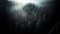 Pine forest in the fog, cinematic dark light, beautiful white and green colors - Natural fantasy scene, trees and hills