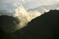 The pine forest and fog in the valley in the morning, the sunlight makes the image warm, the golden light makes it fresh