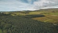 Pine forest at green valley aerial. Nobody nature landscape. Rural farmlands at road. Greenery trees