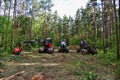 Pine forest harvesting machine and Crane forwarder at during clearing of a plantation. Wheeled harvester sawing trees and clearing Royalty Free Stock Photo