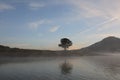 Pine forest island and shrubs refection on the lake at dawn with magic of the sky and clouds part 4 Royalty Free Stock Photo