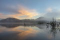 Pine forest island and shrubs refection on the lake at dawn with magic of the sky and clouds part 4 Royalty Free Stock Photo