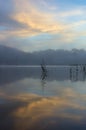 Pine forest island and shrubs refection on the lake at dawn with magic of the sky and clouds part 6 Royalty Free Stock Photo