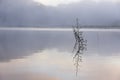 Pine forest island and shrubs refection on the lake at dawn with magic of the sky and clouds part 9 Royalty Free Stock Photo