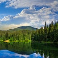 Pine forest and lake near the mountain early in the morning Royalty Free Stock Photo