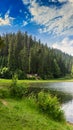 Pine forest and lake near the mountain early in the morning Royalty Free Stock Photo