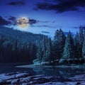 Pine forest and lake near the mountain at night Royalty Free Stock Photo