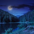 Pine forest and lake near the mountain at night Royalty Free Stock Photo