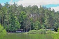 Pine forest on the lake. Place to rest Royalty Free Stock Photo