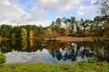 Pine forest on the lake with reflection in water Royalty Free Stock Photo