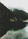 Pine forest by the lake and reflections in Turkey