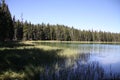 Pine Forest Lake Scenery Pacific Crest Trail