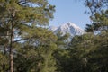 Forest and Mount Tahtali