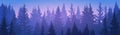Pine Forest Landscape Mountain Sky Woods Royalty Free Stock Photo