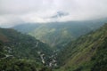 Pine forest occurs on parts of Luzon and Mindoro