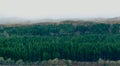 Pine forest panorama aerial view in misty rainy day in Scotland Royalty Free Stock Photo