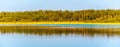 Pine forest panorama reflected in the lake Royalty Free Stock Photo