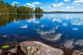 Pine forest reflection in the lake