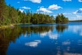 Pine forest reflection in the lake