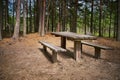 Pine forest scene with picnic zone. Kemeri National park, Latvia