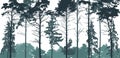 Pine forest silhouette. Natural coniferous trees. Beautiful landscape, woodland. Vector illustration Royalty Free Stock Photo