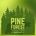 Pine forest silhouette with wild bear