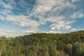 Pine forest top of trees nature landscape wallpaper background scenic view aerial photography with blue sky white clouds space for Royalty Free Stock Photo