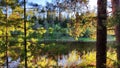 A pine forest with trees, trunks, water of a river or lake, illuminated by the summer, autumn, or spring evening sun. A Royalty Free Stock Photo