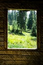 a pine forest visible through the broken walls Royalty Free Stock Photo