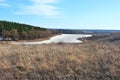 Pine forest, willows on the hills, rotten reeds on the shore of the lake with melting ice, on a background of blue sky with clouds Royalty Free Stock Photo