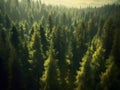 Pine forests are part of the forest cycle. Helps to conserve soil and water. Generative AI