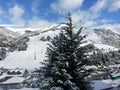 Pine full of snow Royalty Free Stock Photo