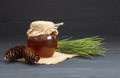 Pine honey in jar or bowl with honey stick and pine cones on rustic table Royalty Free Stock Photo