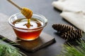 Pine honey in jar or bowl with honey stick and pine cones on rustic table Royalty Free Stock Photo