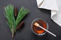 Pine honey in jar or bowl with honey stick and pine cones on wooden rustic table Royalty Free Stock Photo