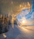 Pine in the ice. A small tree in the winter. Royalty Free Stock Photo