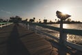 PINE ISLAND, FLORIDA - JAN 17, 2020. Sunburst behind a pier viewer on Bokeelia pier Royalty Free Stock Photo