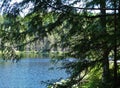 Pine Lake in early summer on Chuckanut mountain Royalty Free Stock Photo