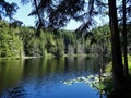 Pine Lake in early summer on Chuckanut mountain Royalty Free Stock Photo