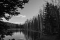 Pine Lake Vacation BW Royalty Free Stock Photo
