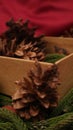 Pine leaves, dried pine, and gift box with red background. Concept of Christmas