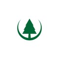 Pine logo template vector icon illustration