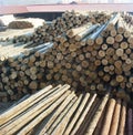 Pine logs