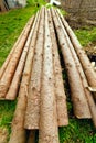 Pine logs on grass Royalty Free Stock Photo