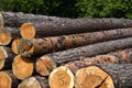 Pine logs lie in a pile, Sawmill Royalty Free Stock Photo